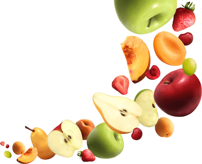 Our Diet Plan Process in India